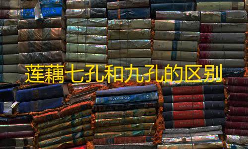 穿越火线透视挂软件下载莲藕七孔和九孔的区别